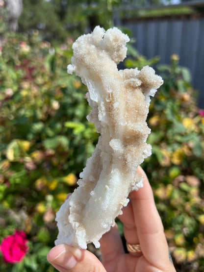 Rams Horn Selenite