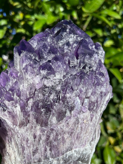 Bahia Amethyst bouquet