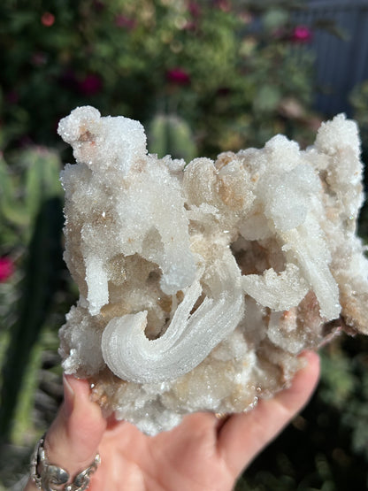 Rams Horn Selenite