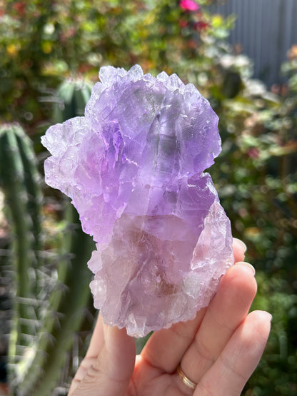 Lemurian Amethyst