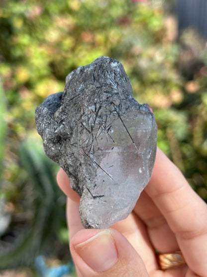 Himalayan Rutile Quartz