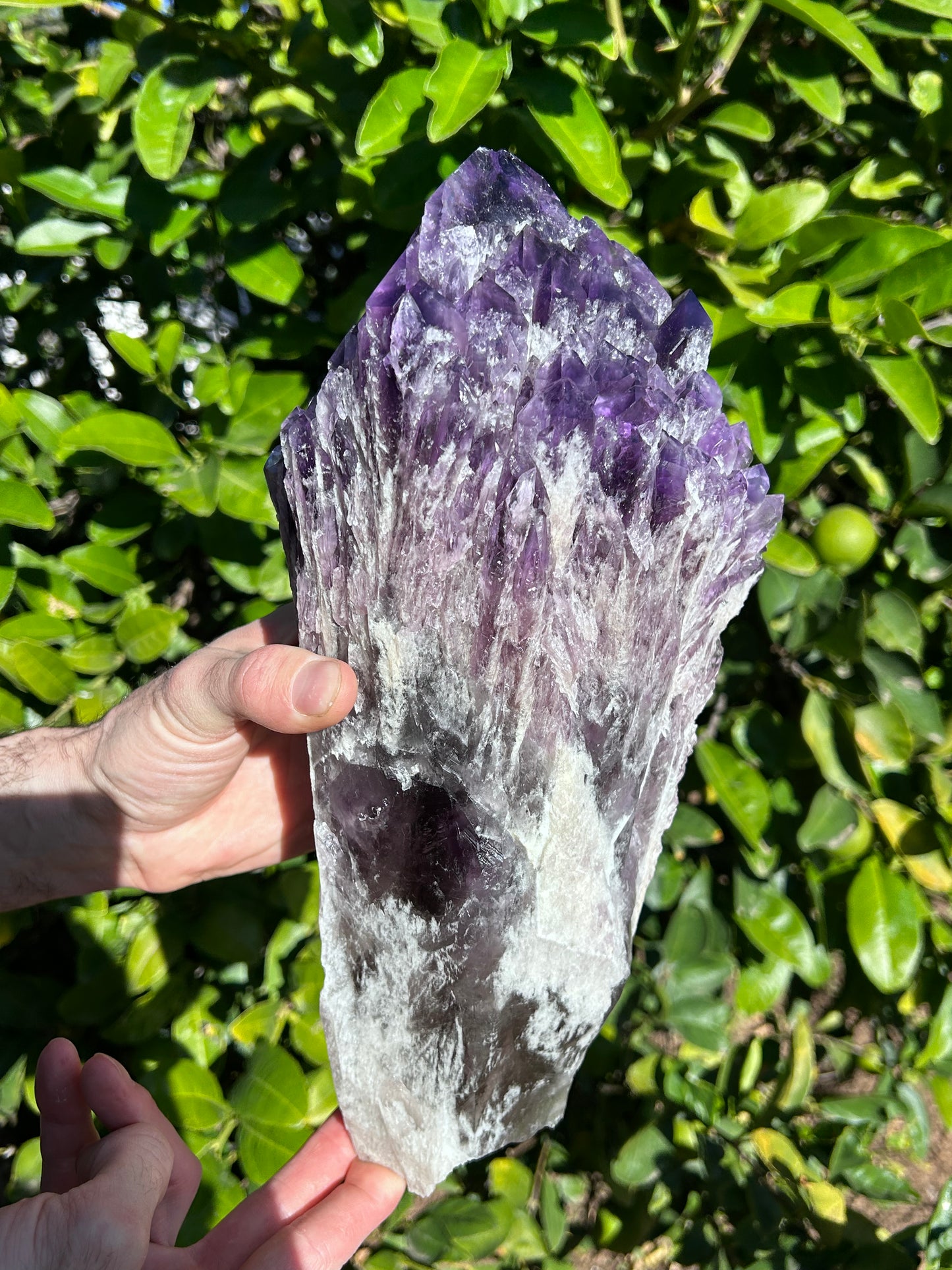 Bahia Amethyst bouquet