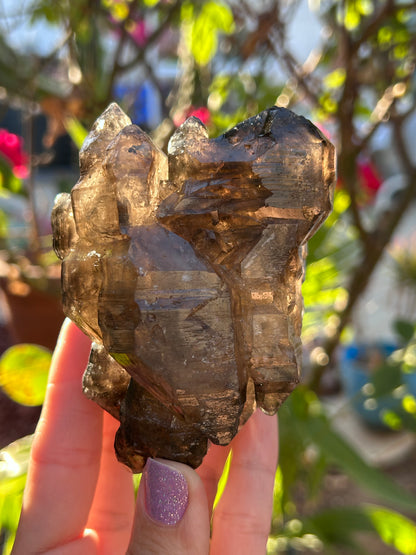 Smoky Window Quartz