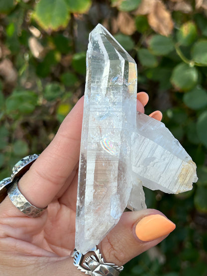 Colombian Lemurian DT