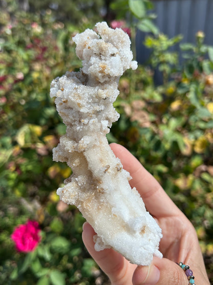 Rams Horn Selenite