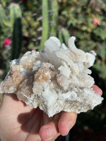 Rams Horn Selenite