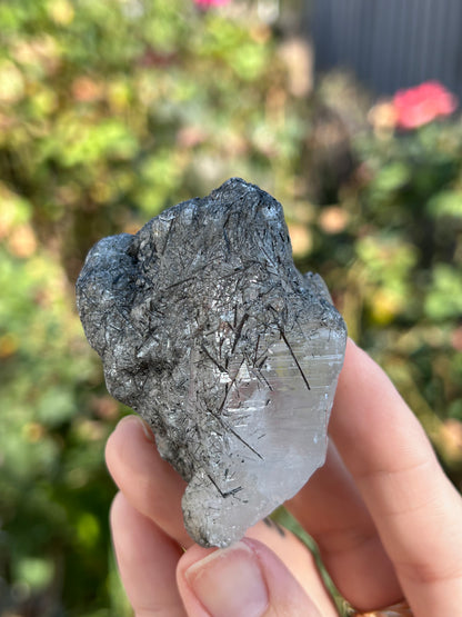 Himalayan Rutile Quartz