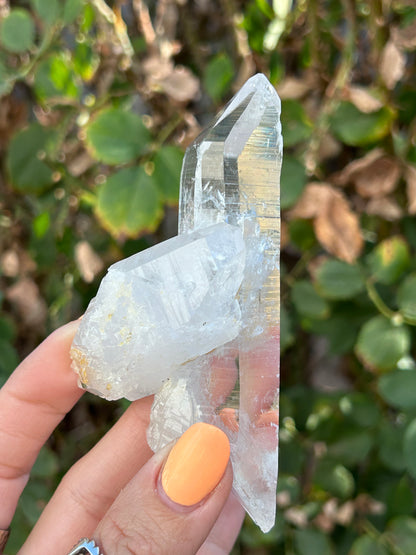 Colombian Lemurian DT