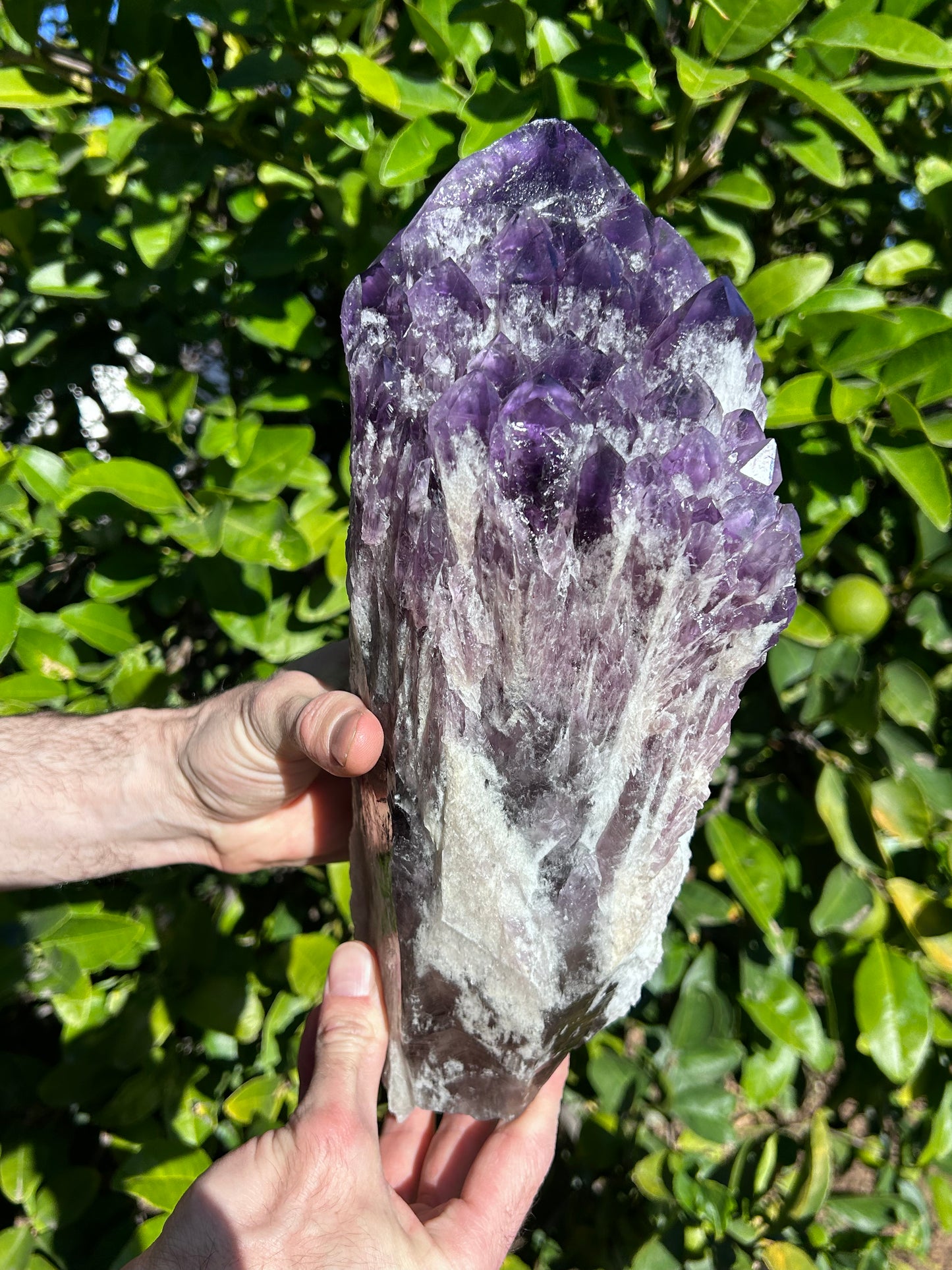 Bahia Amethyst bouquet