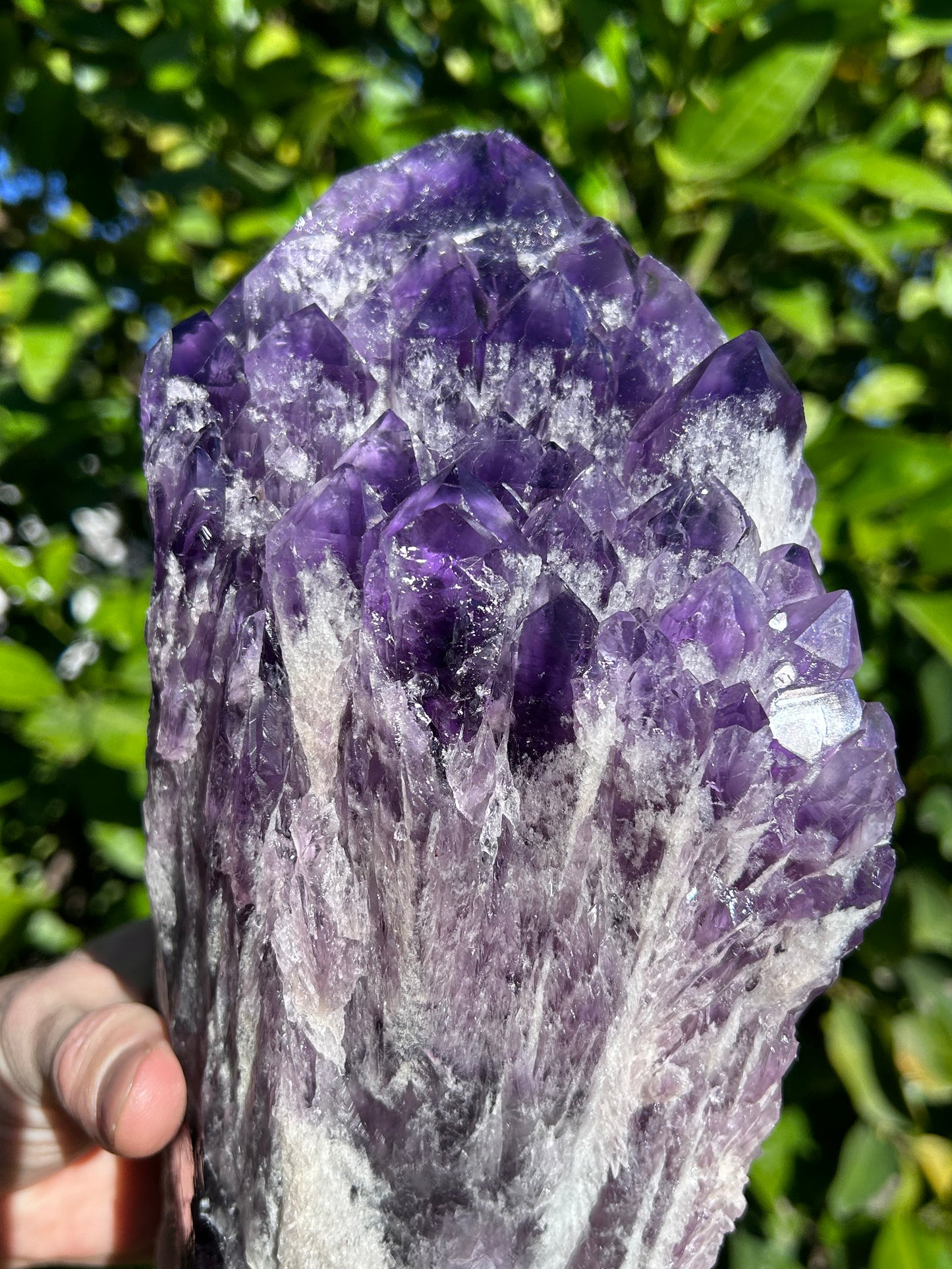 Bahia Amethyst bouquet