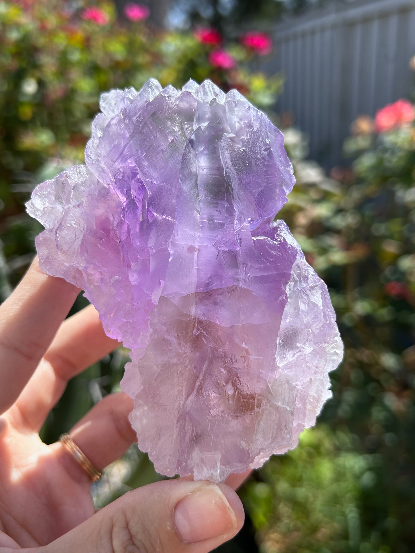 Lemurian Amethyst