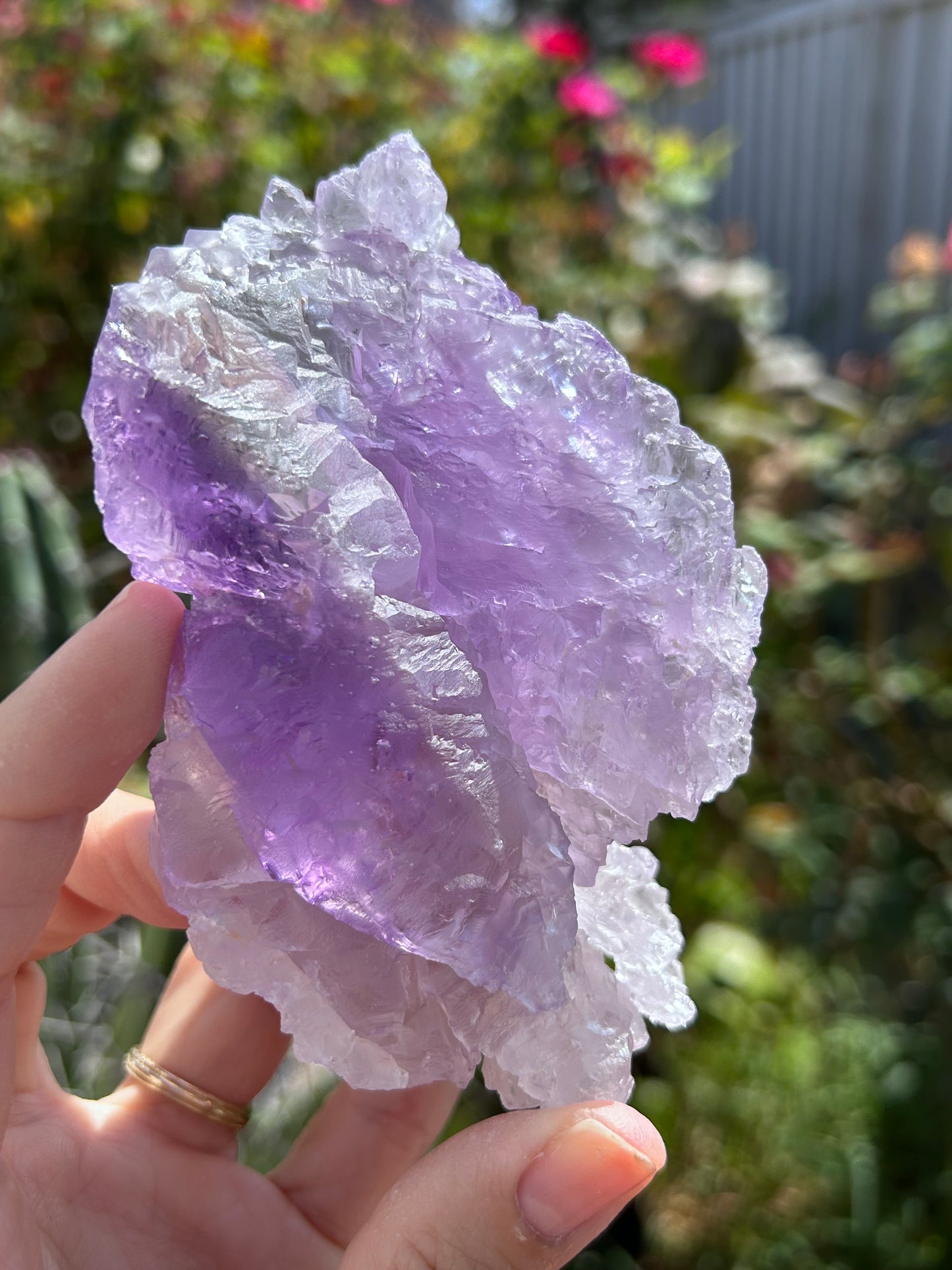 Lemurian Amethyst