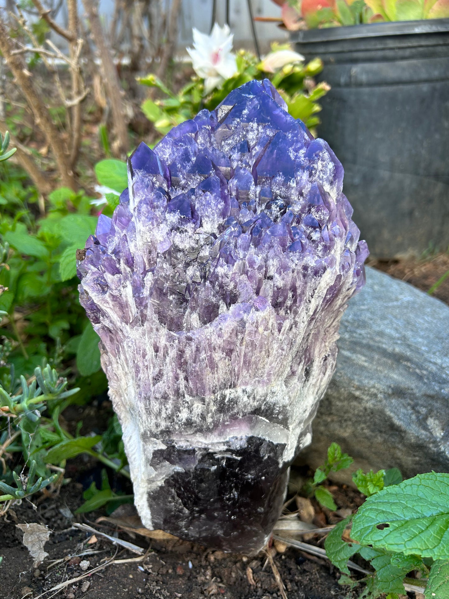 Bahia Amethyst bouquet