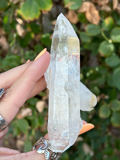 Colombian Lemurian DT