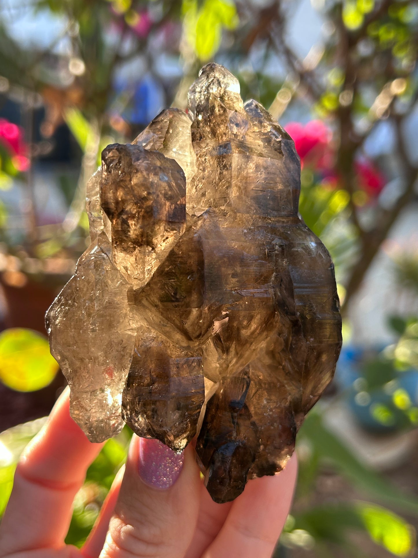 Smoky Window Quartz