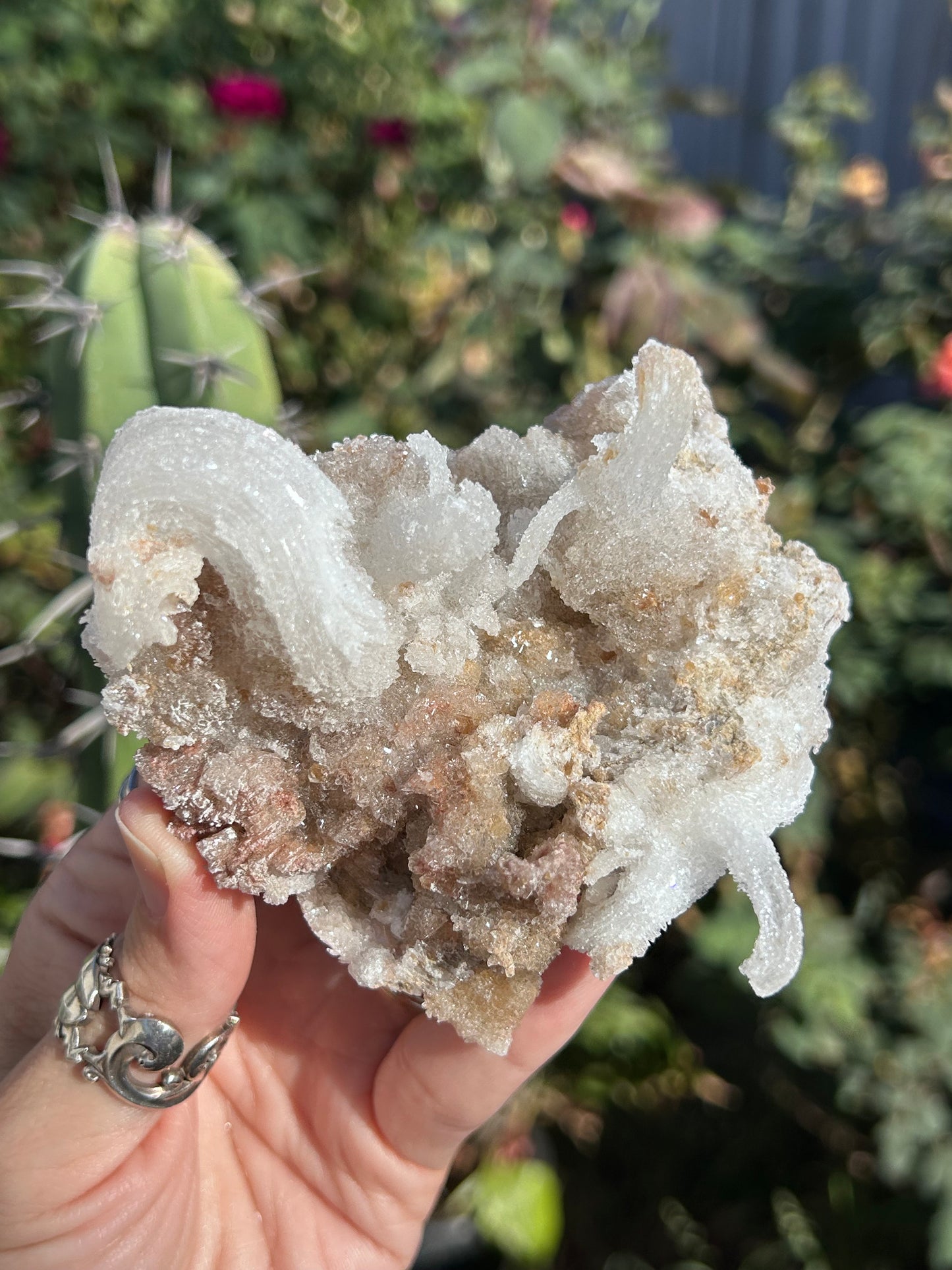 Rams Horn Selenite