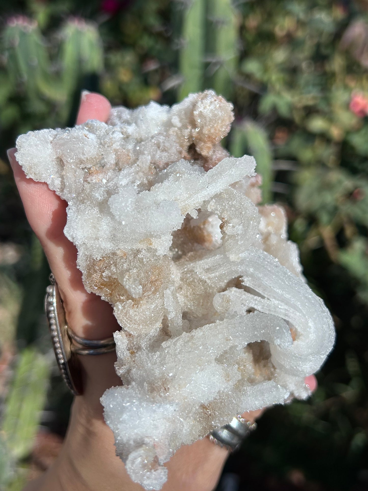 Rams Horn Selenite