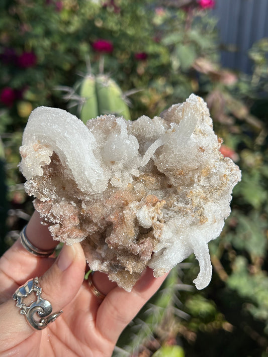 Rams Horn Selenite