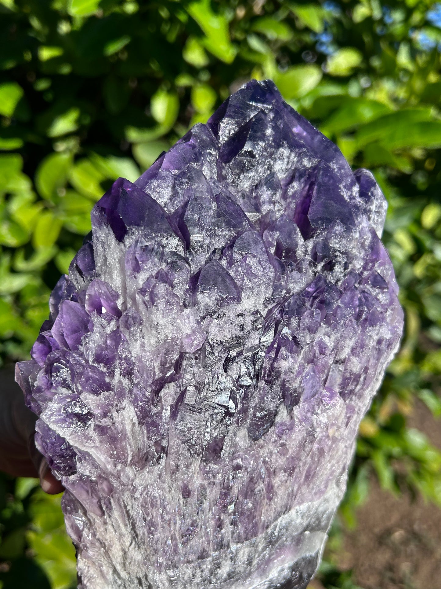 Bahia Amethyst bouquet