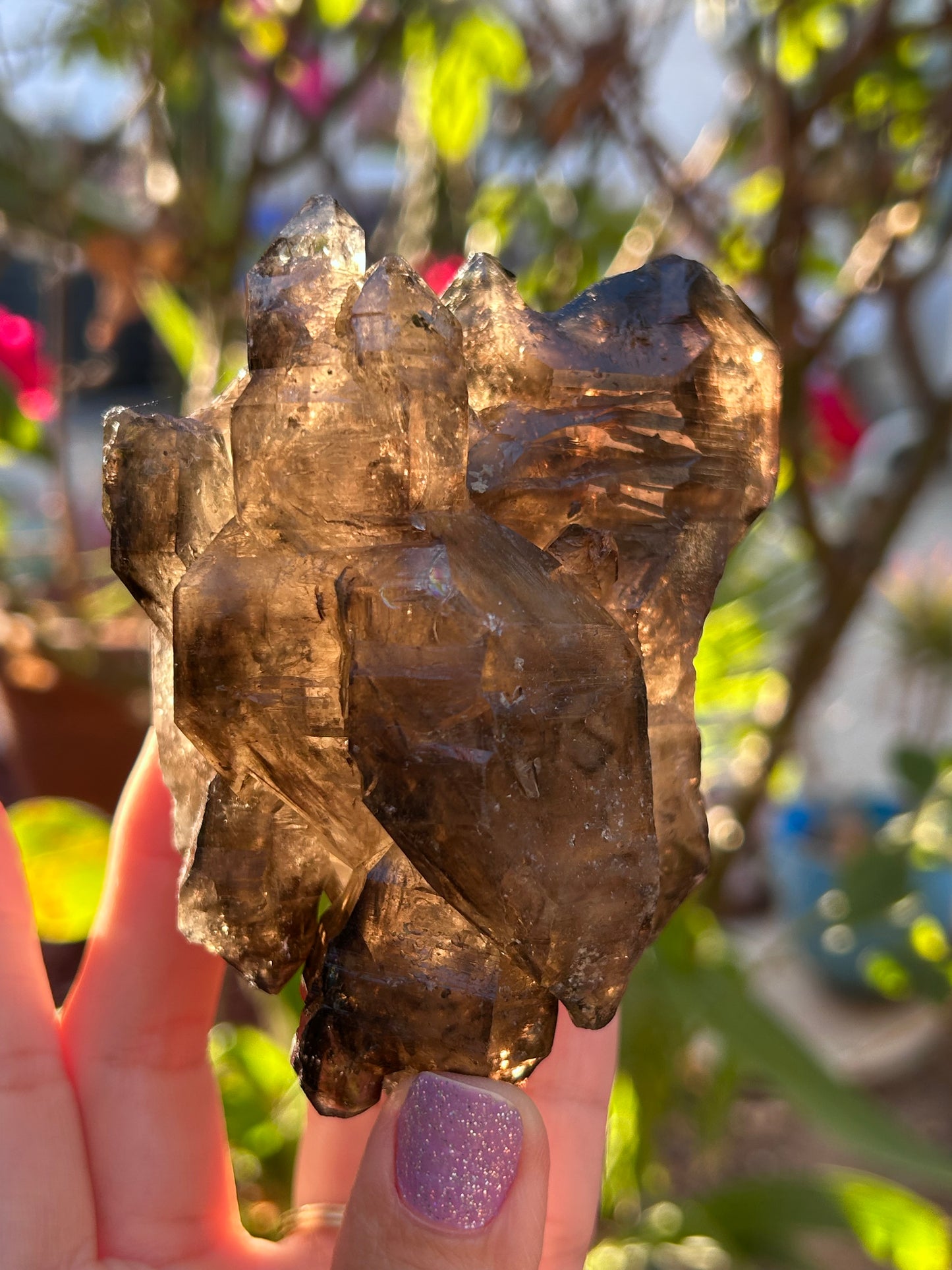 Smoky Window Quartz