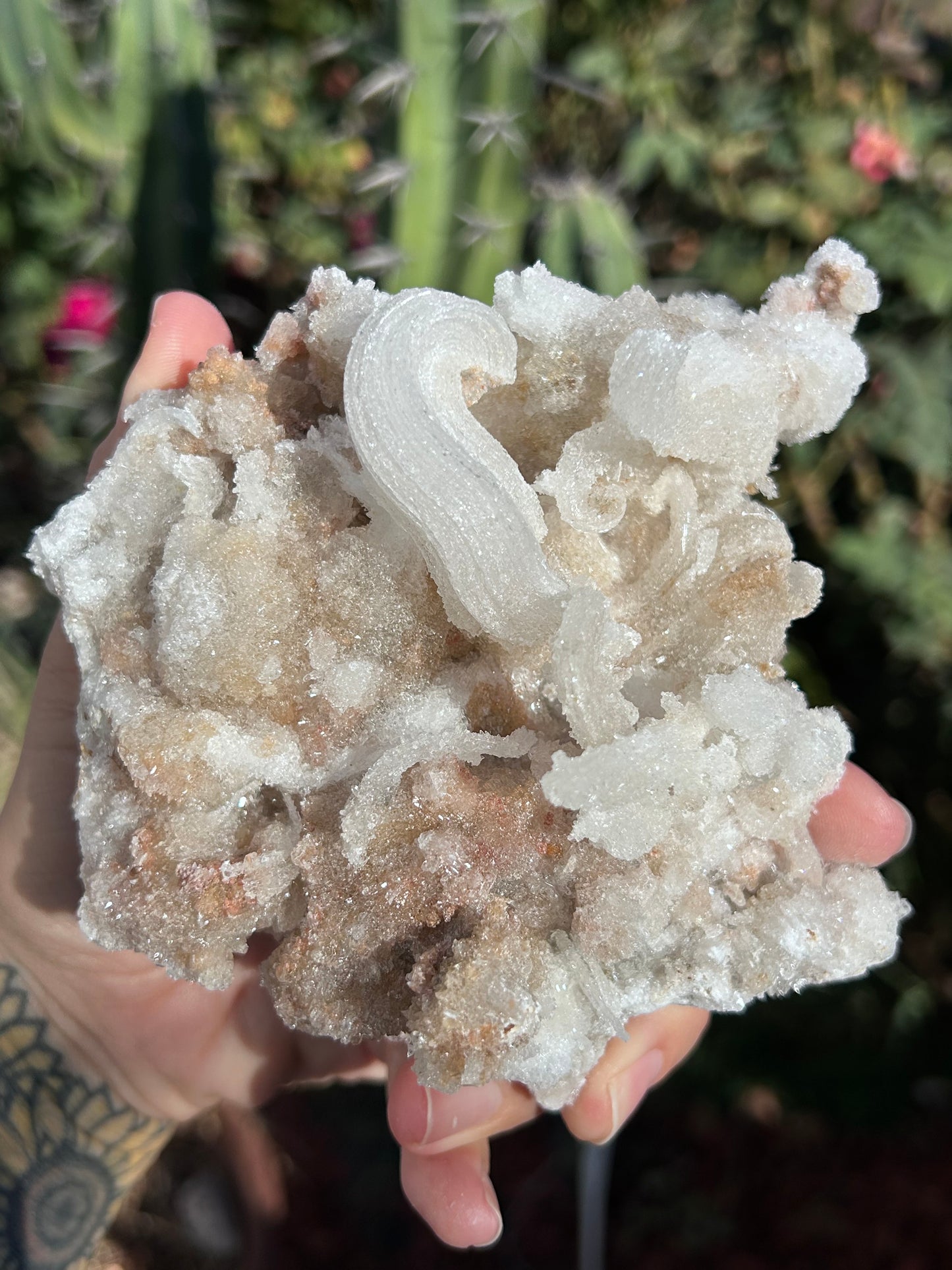 Rams Horn Selenite