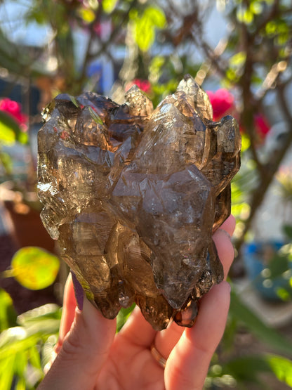 Smoky Window Quartz