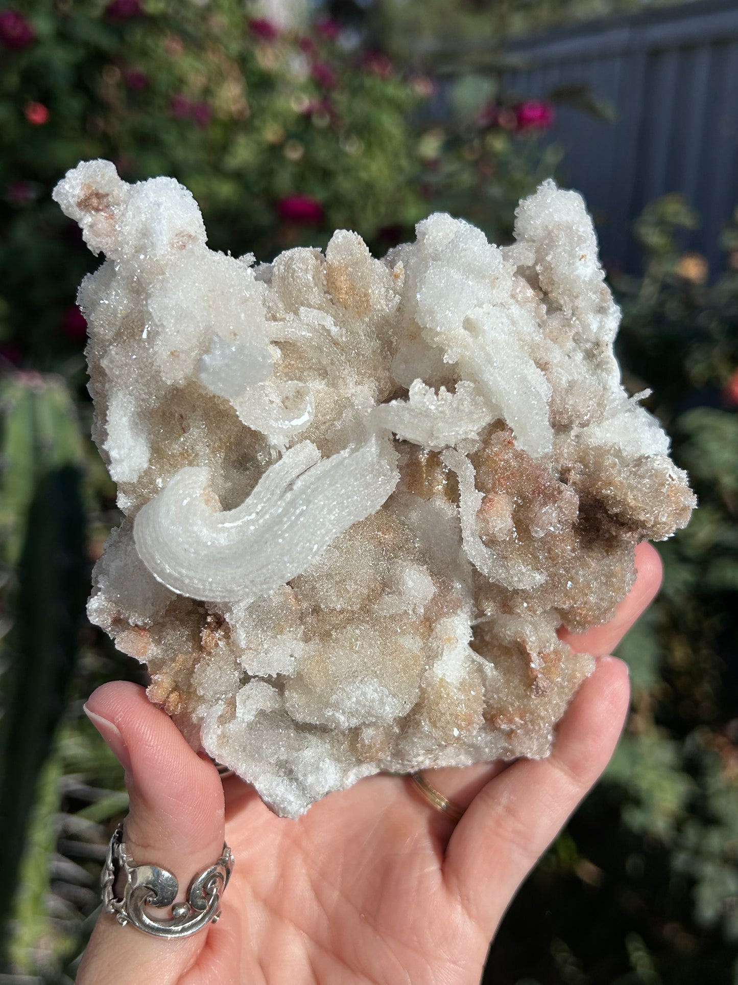 Rams Horn Selenite