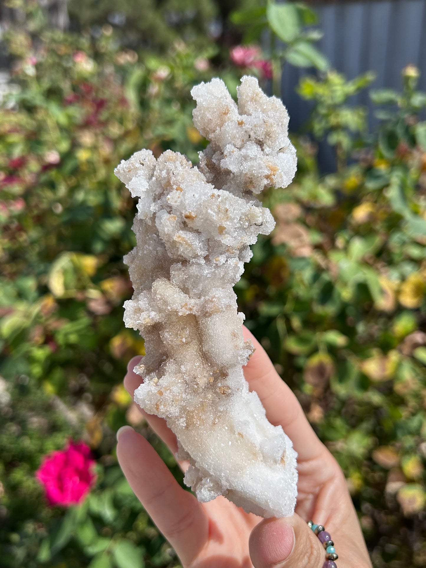 Rams Horn Selenite