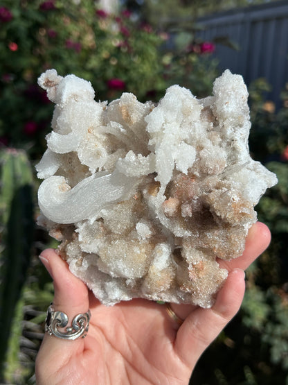 Rams Horn Selenite