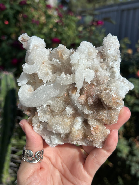 Rams Horn Selenite