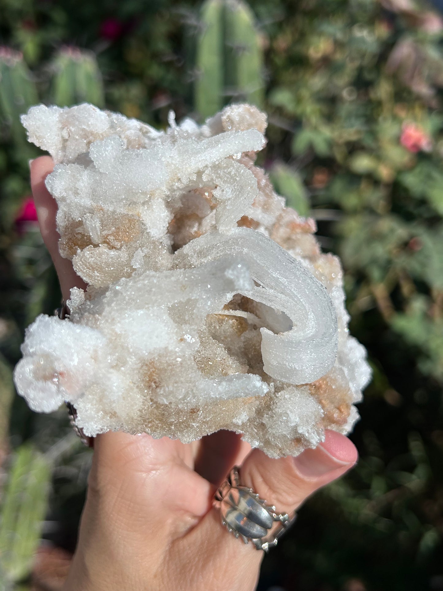 Rams Horn Selenite