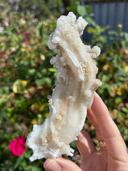 Rams Horn Selenite