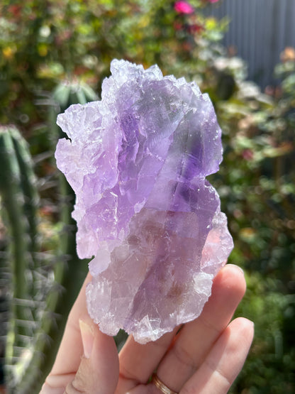 Lemurian Amethyst