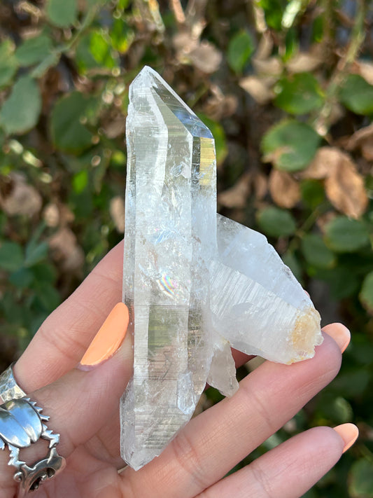 Colombian Lemurian DT