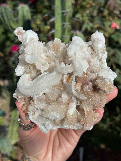 Rams Horn Selenite