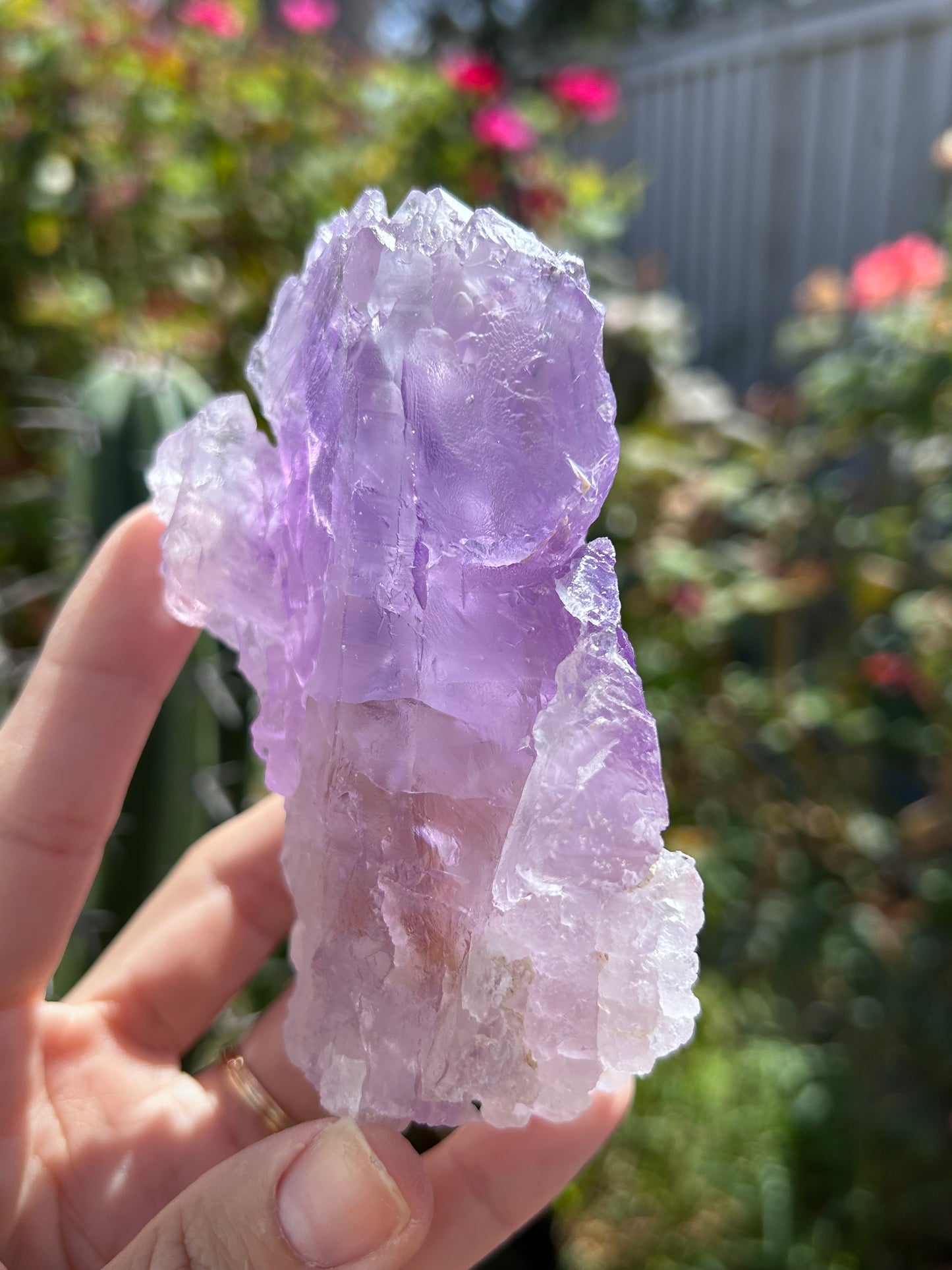 Lemurian Amethyst