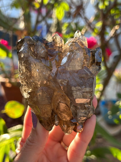 Smoky Window Quartz