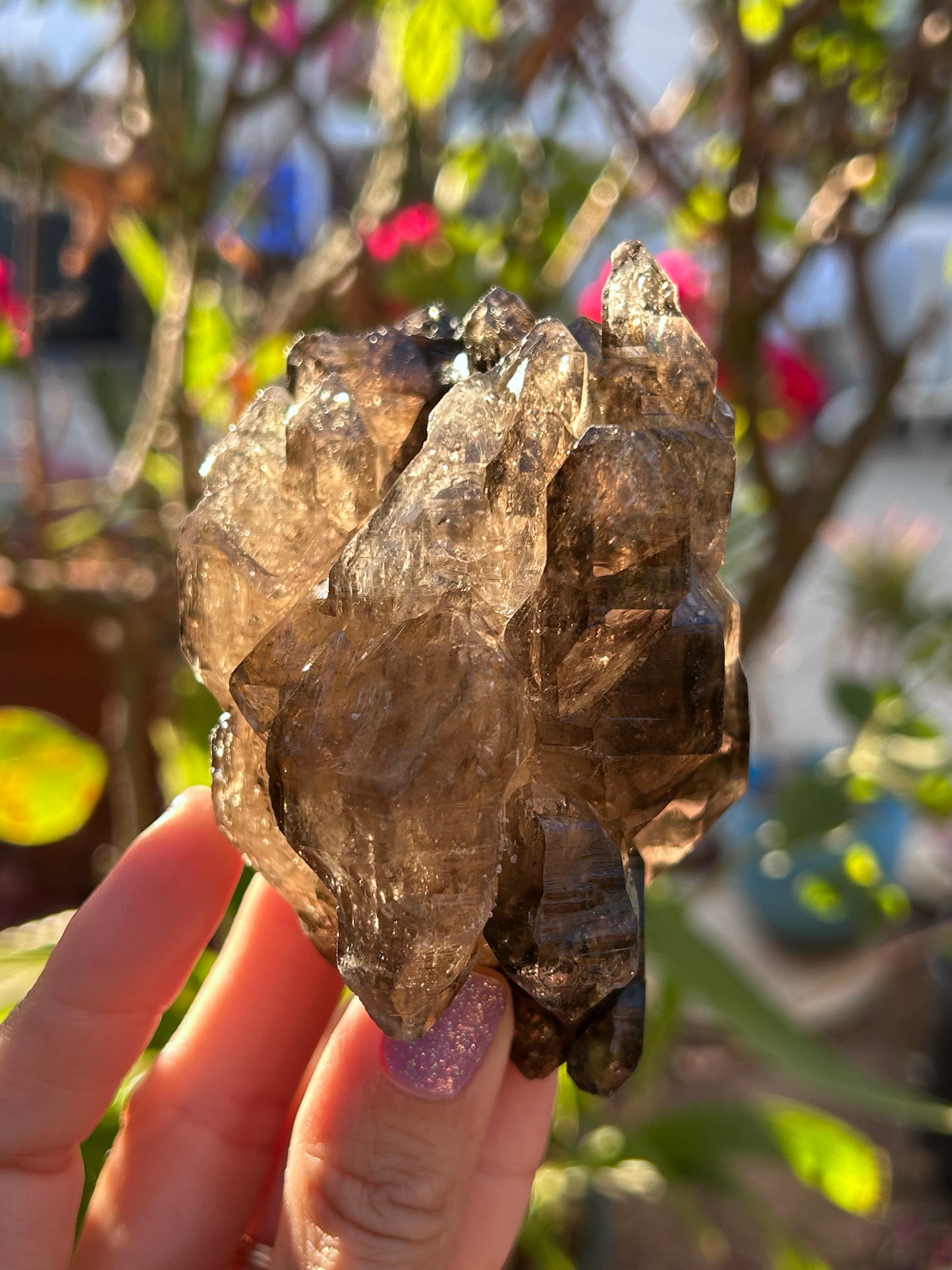 Smoky Window Quartz