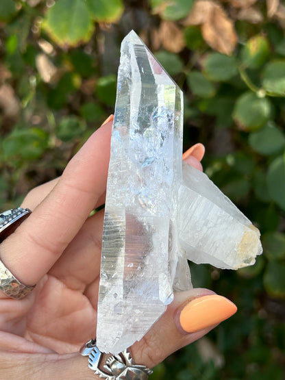 Colombian Lemurian DT