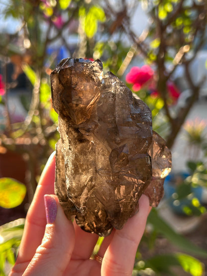 Smoky Window Quartz