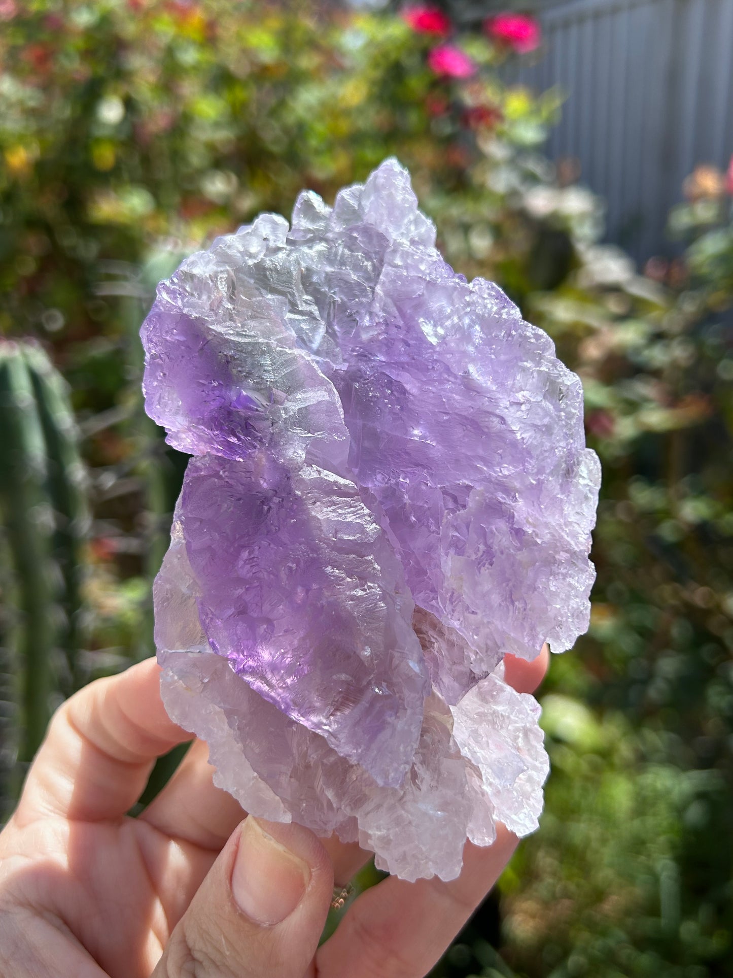 Lemurian Amethyst