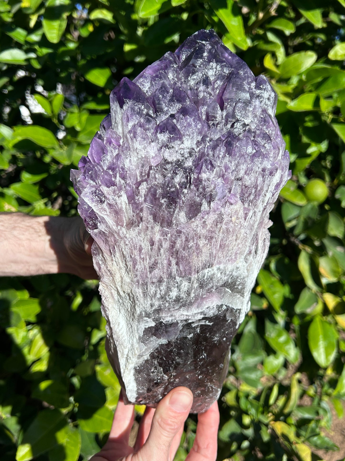 Bahia Amethyst bouquet