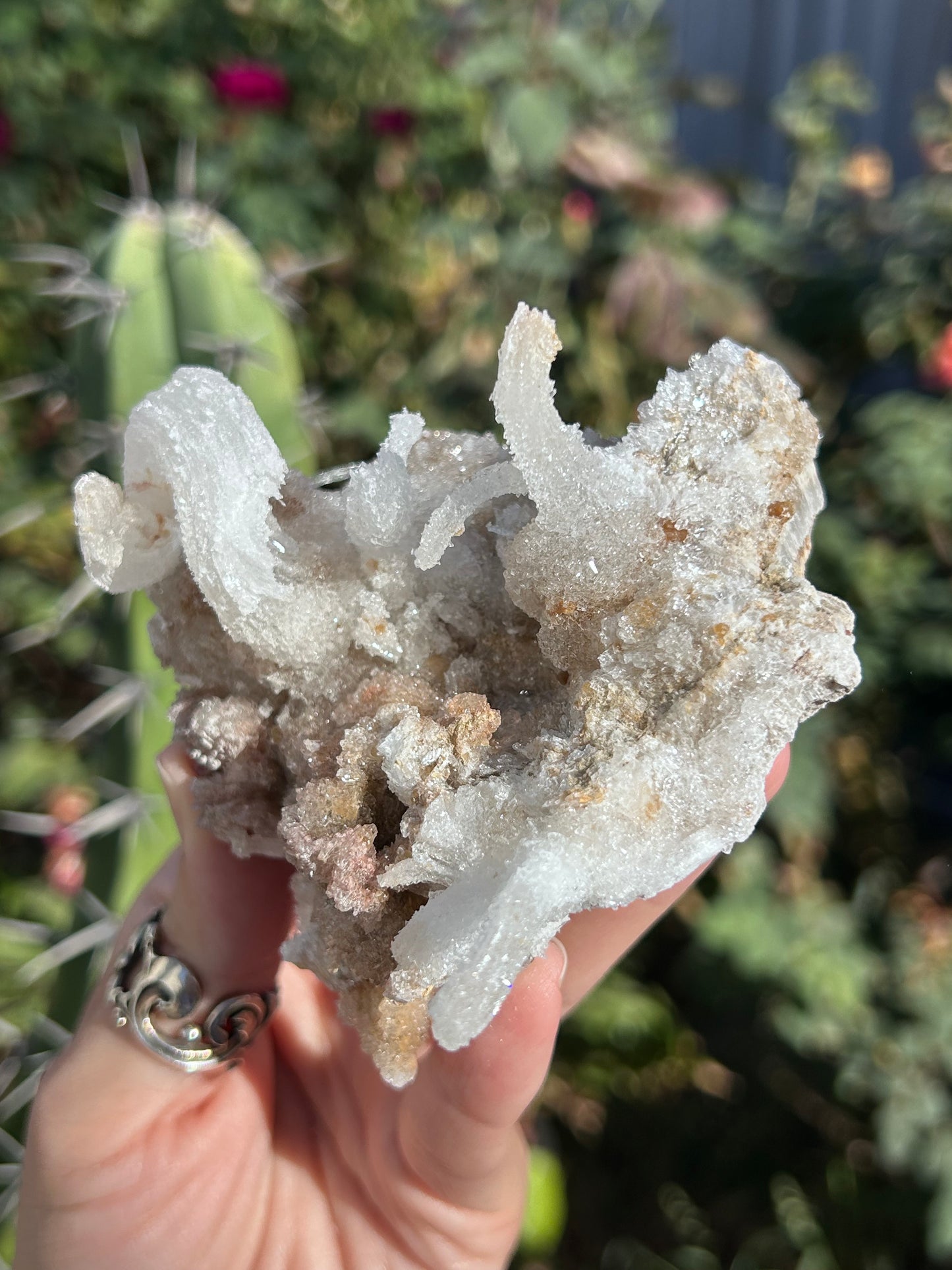 Rams Horn Selenite