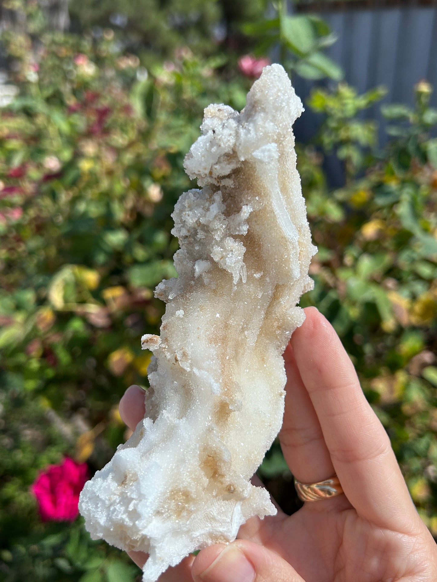 Rams Horn Selenite