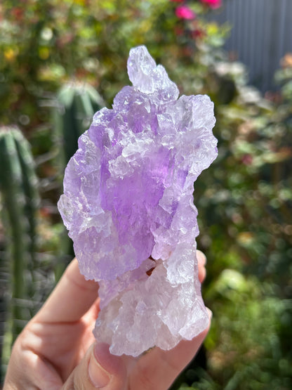 Lemurian Amethyst