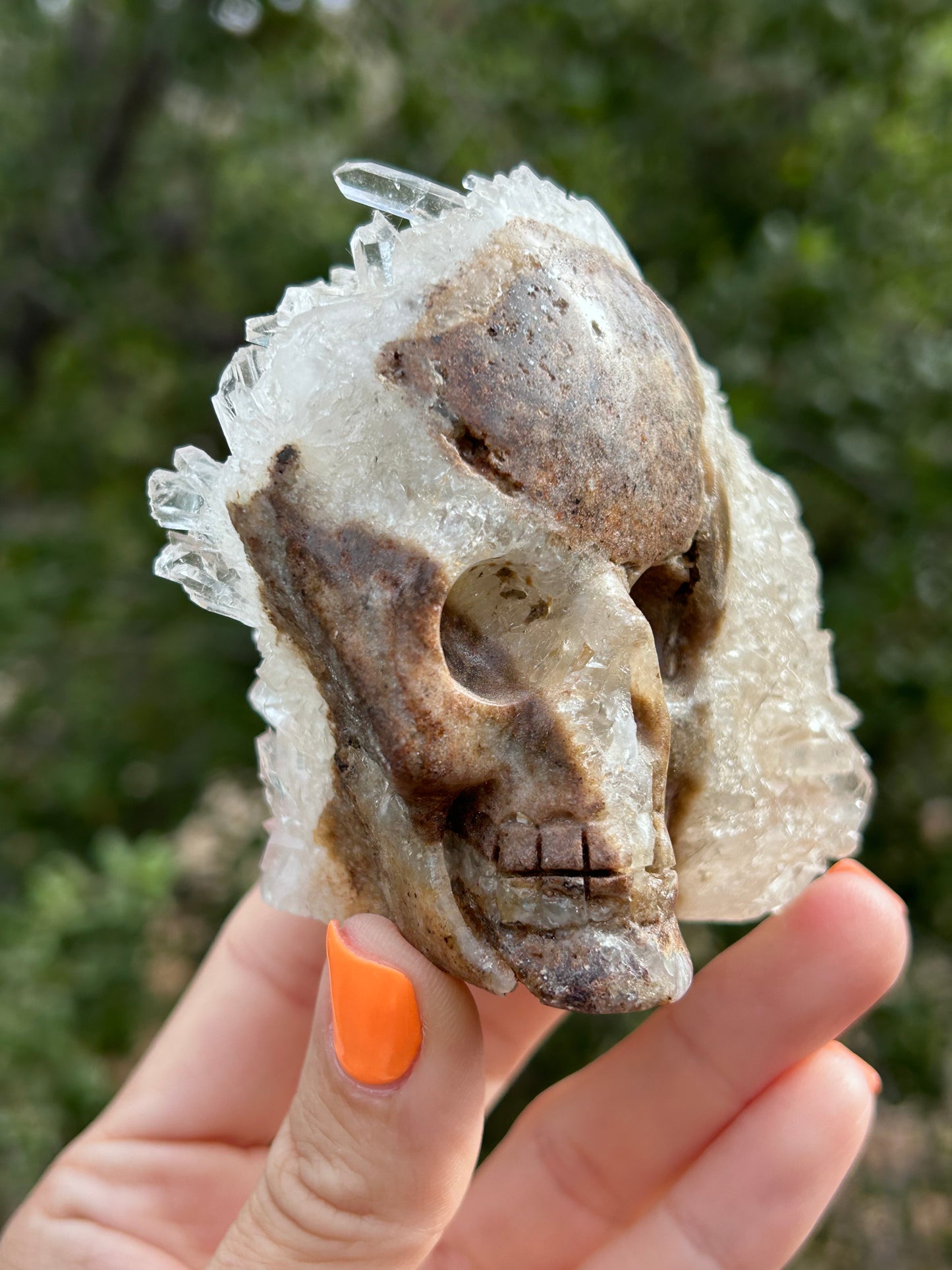 Clear Quartz cluster Skull