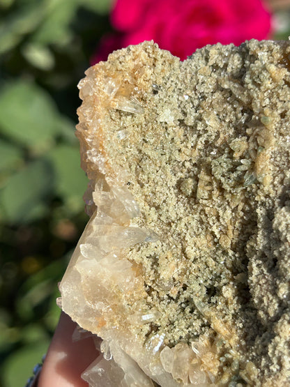 Golden Nirvana Himalayan Quartz cluster