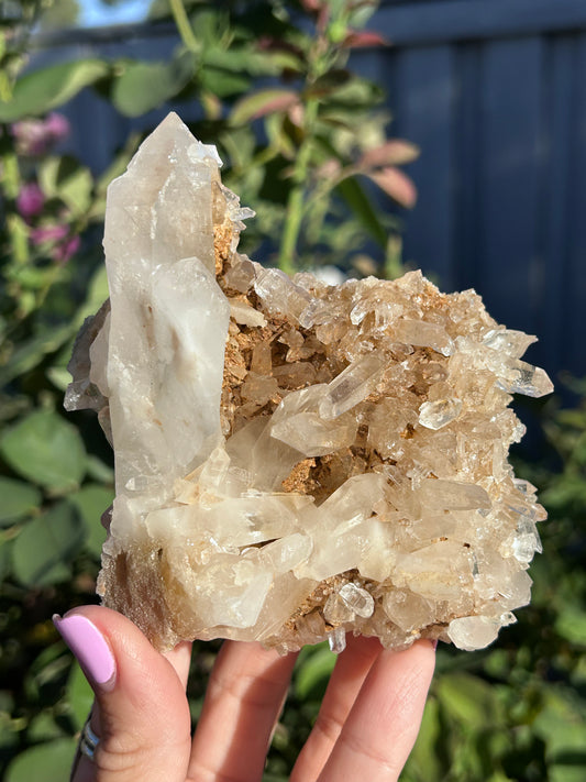 Golden Nirvana Himalayan Quartz cluster