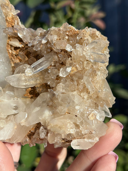 Golden Nirvana Himalayan Quartz cluster