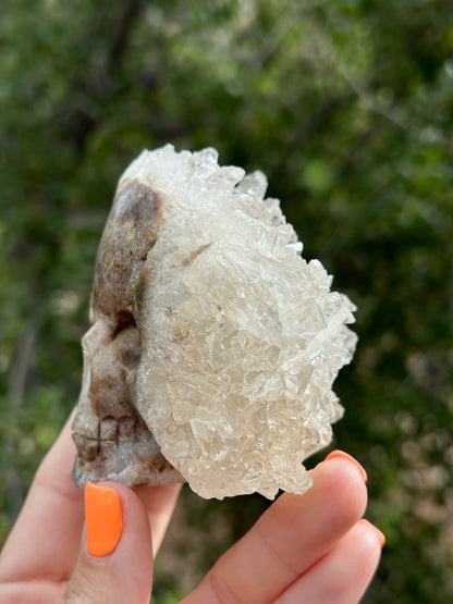 Clear Quartz cluster Skull